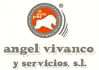 ÁNGEL VIVANCO Y SERVICIOS